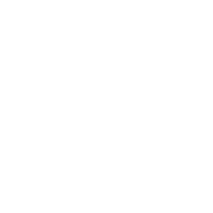 Acorde al Plan Logo